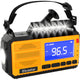 Elcostar Premium Emergency Radio