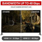 HDMI 2.1 Cable