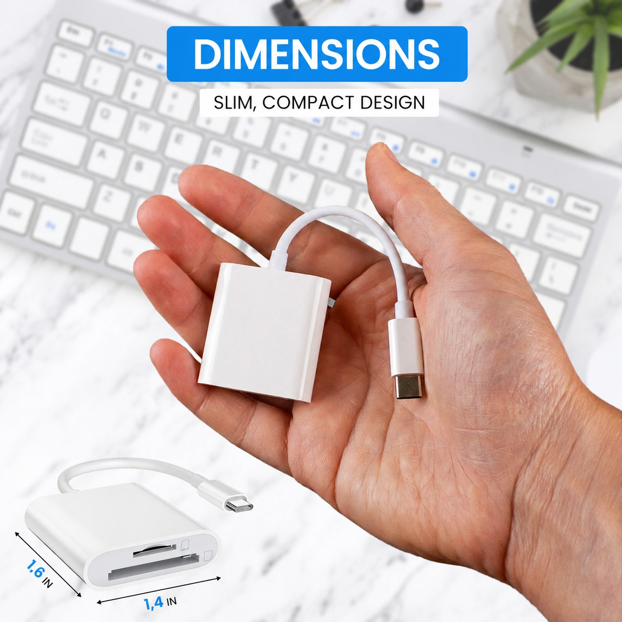 SD Card Reader 2-in-1